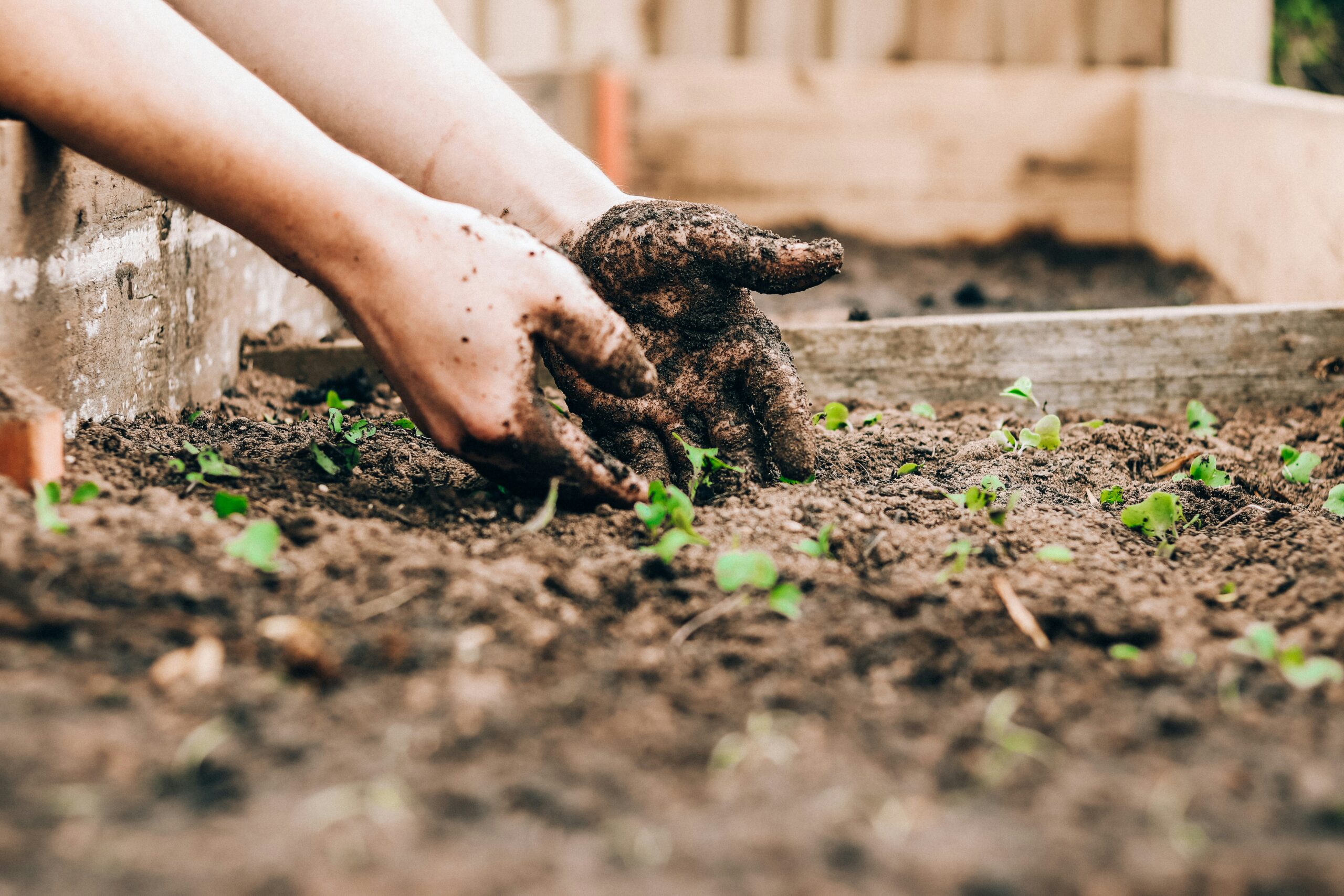 Spring Awakening: A Comprehensive Guide to Preparing Your Garden