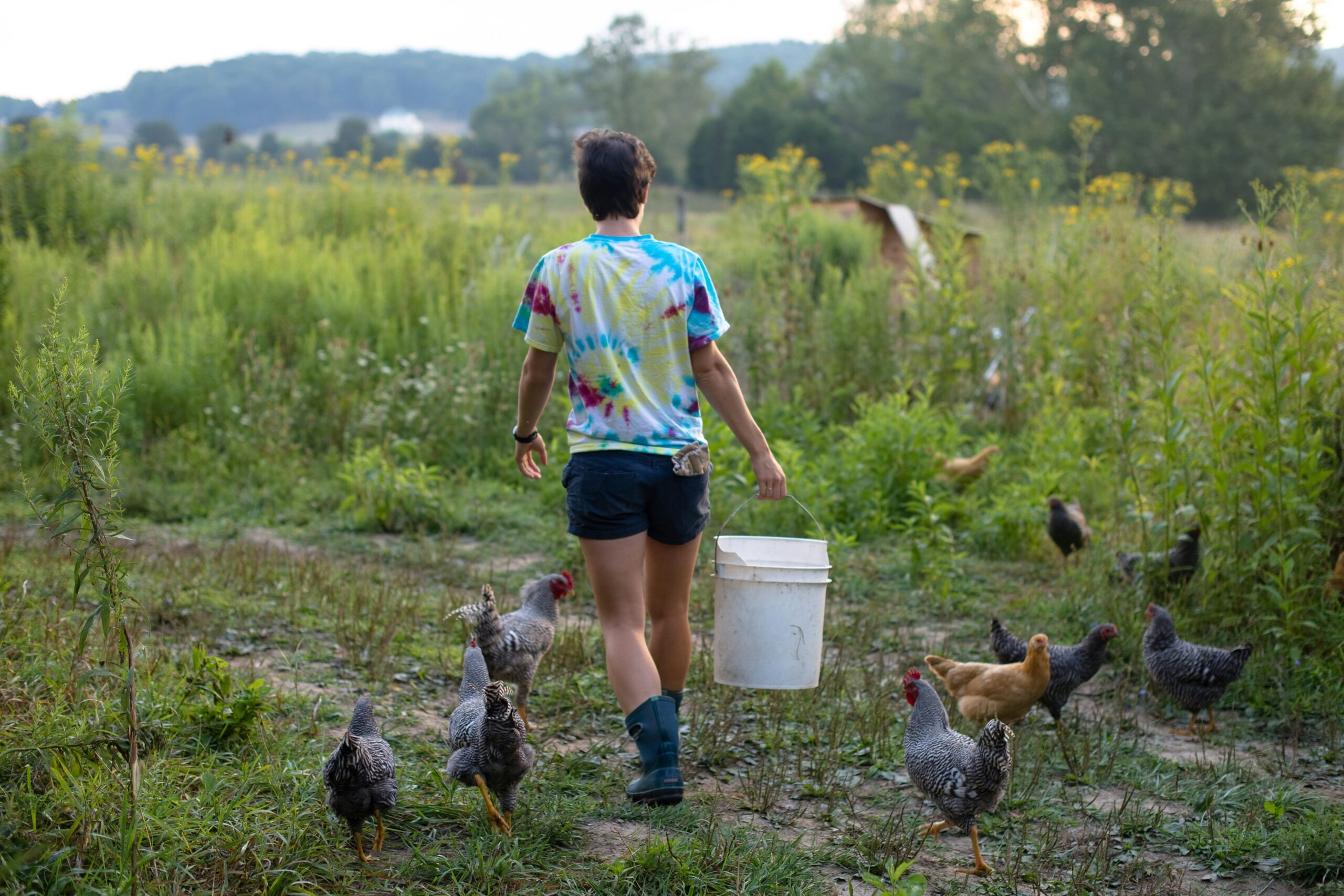 Built, Not Bought: Embracing the Homesteading Mindset